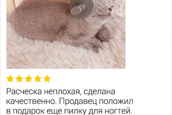 Как закинуть деньги на кракен